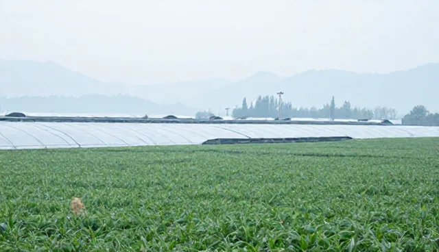 数据安全服务选型关注点:数据加密与访问控制